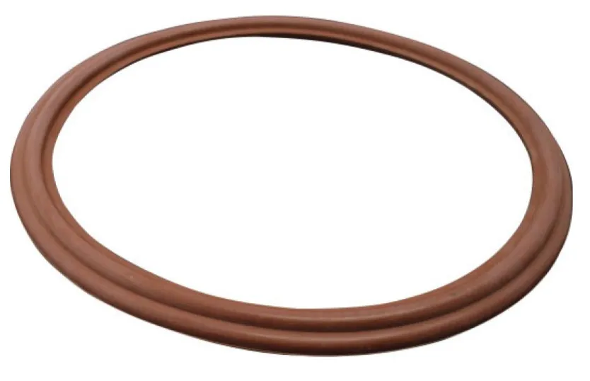 Joint Viton pour porte ovale