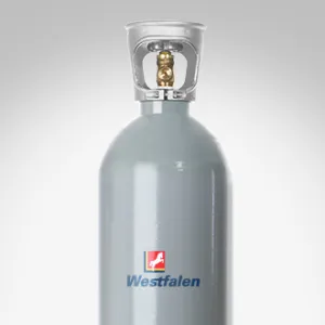 Bouteille de gaz Alimentaire - CO2
