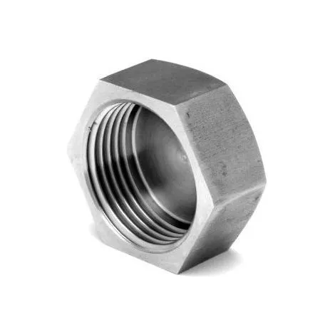 Produit Bouchon Femelle PAS GAZ - Inox 316L Image