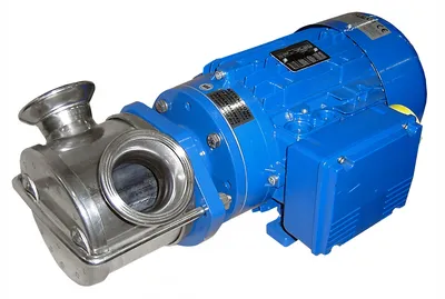 Produit Pompe LIVERANI Major - Inox 316 Image