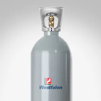 Produit Bouteille de gaz Alimentaire - CO2 Image