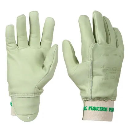 Produit Gants cuir travaux extérieurs Image
